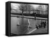 Model Boating Lake-null-Framed Stretched Canvas