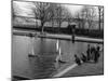 Model Boating Lake-null-Mounted Photographic Print