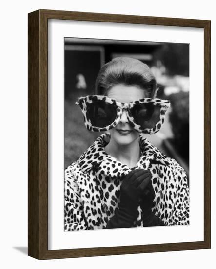 Model June Pickney Sporting Leopard Fur Coat and Huge Leopard Fur Rimmed Sunglasses-Stan Wayman-Framed Photographic Print