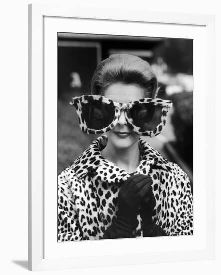 Model June Pickney Sporting Leopard Fur Coat and Huge Leopard Fur Rimmed Sunglasses-Stan Wayman-Framed Photographic Print
