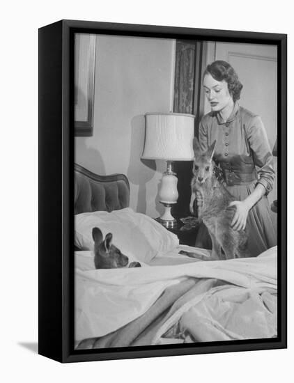 Model Loretta North with Small Kangaroos at the Australian Embassy Putting a Sick Kangaroo to Bed-null-Framed Stretched Canvas