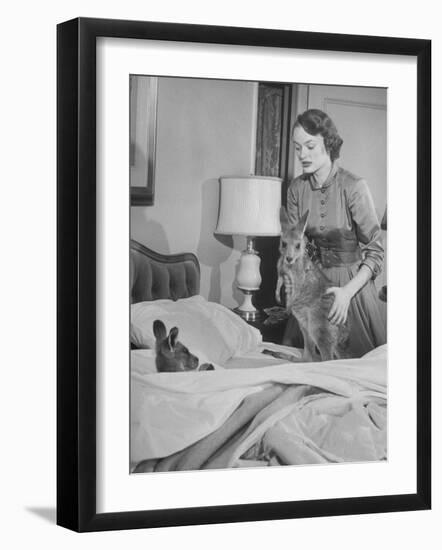 Model Loretta North with Small Kangaroos at the Australian Embassy Putting a Sick Kangaroo to Bed-null-Framed Premium Photographic Print