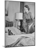 Model Loretta North with Small Kangaroos at the Australian Embassy Putting a Sick Kangaroo to Bed-null-Mounted Photographic Print