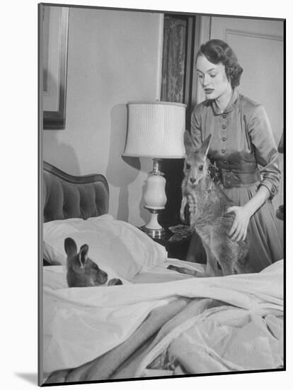 Model Loretta North with Small Kangaroos at the Australian Embassy Putting a Sick Kangaroo to Bed-null-Mounted Photographic Print