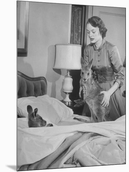 Model Loretta North with Small Kangaroos at the Australian Embassy Putting a Sick Kangaroo to Bed-null-Mounted Photographic Print