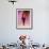 Model Naomi Campbell on Fashion Show Runway-null-Framed Premium Photographic Print displayed on a wall