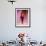 Model Naomi Campbell on Fashion Show Runway-null-Framed Premium Photographic Print displayed on a wall