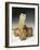 Model of a C Artefact from the Assyrian Protodynastic Period-null-Framed Giclee Print