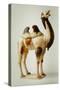 Model of a Camel (Glazed Earthenware)-Tang Dynasty Chinese School-Stretched Canvas