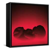 Model of a Foetus-Kevin Curtis-Framed Stretched Canvas