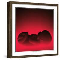 Model of a Foetus-Kevin Curtis-Framed Premium Photographic Print