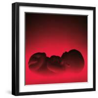 Model of a Foetus-Kevin Curtis-Framed Premium Photographic Print