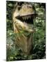 Model of Allosaurus Dinosaur at the National Zoo, Washington Dc-null-Mounted Photographic Print