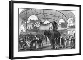 Model of an Elephant in the Siamese Section of the Machine Gallery, 1867-null-Framed Giclee Print