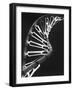Model of Dna and Related Substance, Rna-null-Framed Photographic Print