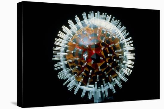 Model of Herpesvirus Particle-null-Stretched Canvas