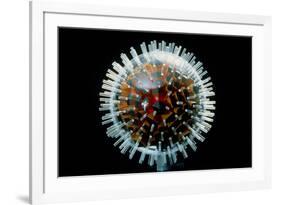 Model of Herpesvirus Particle-null-Framed Photographic Print