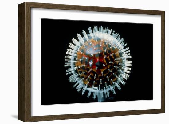 Model of Herpesvirus Particle-null-Framed Photographic Print