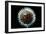 Model of Herpesvirus Particle-null-Framed Photographic Print