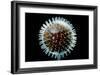 Model of Herpesvirus Particle-null-Framed Photographic Print