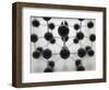 Model of Molecular Structure-Michael Haegele-Framed Photographic Print