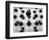 Model of Molecular Structure-Michael Haegele-Framed Photographic Print