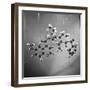 Model of N-Benzoyl-8-Carbethoxy-Quinotoxine Molecule Used in the Creation of Synthetic Quinine-null-Framed Photographic Print
