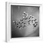 Model of N-Benzoyl-8-Carbethoxy-Quinotoxine Molecule Used in the Creation of Synthetic Quinine-null-Framed Photographic Print