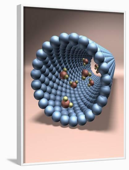 Model of Nanotube-null-Framed Photographic Print