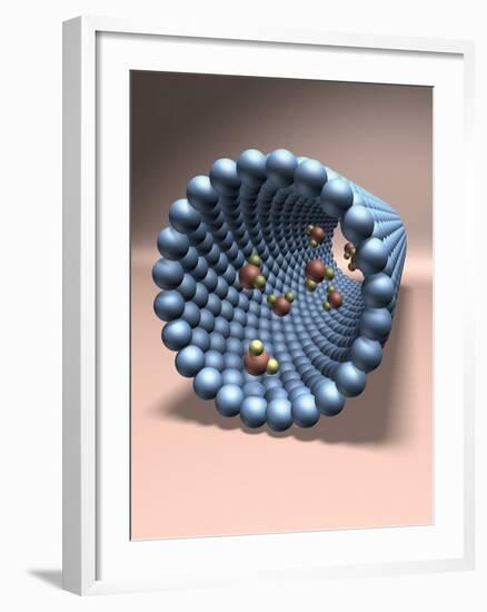 Model of Nanotube-null-Framed Photographic Print