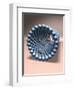 Model of Nanotube-null-Framed Photographic Print