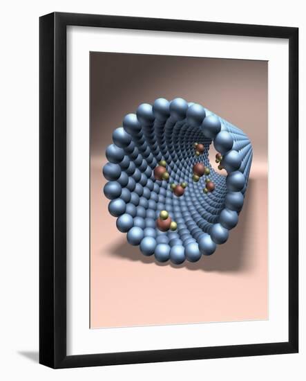 Model of Nanotube-null-Framed Photographic Print