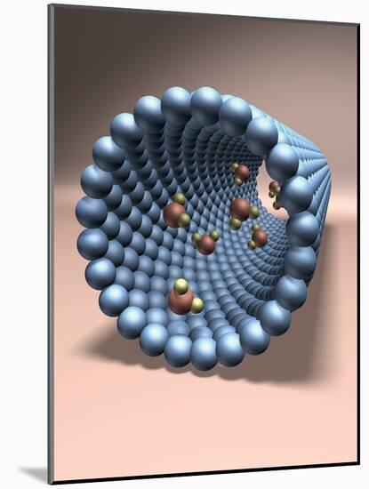 Model of Nanotube-null-Mounted Photographic Print