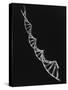 Model of Segment of Dna Molecule Which Governs Heredity-null-Stretched Canvas