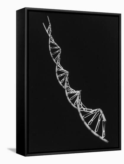 Model of Segment of Dna Molecule Which Governs Heredity-null-Framed Stretched Canvas