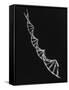 Model of Segment of Dna Molecule Which Governs Heredity-null-Framed Stretched Canvas