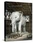 Model of the Elephant of the Place De La Bastille, C1834-Fenner Sears & Co-Stretched Canvas