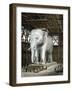 Model of the Elephant of the Place De La Bastille, C1834-Fenner Sears & Co-Framed Giclee Print