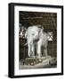 Model of the Elephant of the Place De La Bastille, C1834-Fenner Sears & Co-Framed Giclee Print