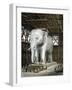 Model of the Elephant of the Place De La Bastille, C1834-Fenner Sears & Co-Framed Giclee Print