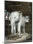 Model of the Elephant of the Place De La Bastille, C1834-Fenner Sears & Co-Mounted Giclee Print