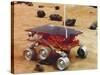 Model of the Mars Pathfinder Rover Sojourner-null-Stretched Canvas