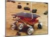 Model of the Mars Pathfinder Rover Sojourner-null-Mounted Premium Photographic Print