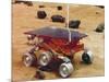 Model of the Mars Pathfinder Rover Sojourner-null-Mounted Photographic Print