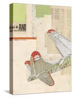 Model Plane 4-Kareem Rizk-Stretched Canvas