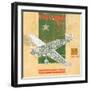 Model Plane 5-Kareem Rizk-Framed Giclee Print