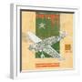 Model Plane 5-Kareem Rizk-Framed Giclee Print