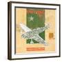 Model Plane 5-Kareem Rizk-Framed Giclee Print