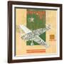 Model Plane 5-Kareem Rizk-Framed Giclee Print