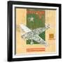 Model Plane 5-Kareem Rizk-Framed Giclee Print